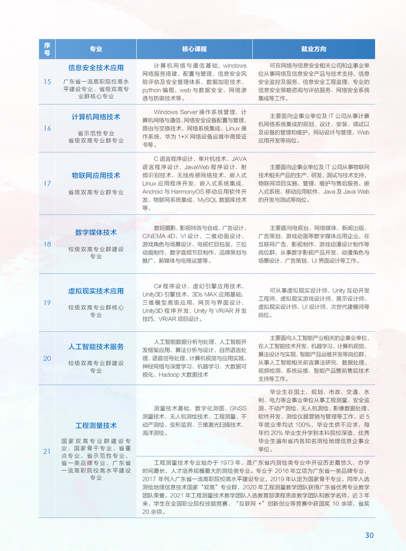 2024正版资料大全好彩网,专业调查解析说明_精英版24.228