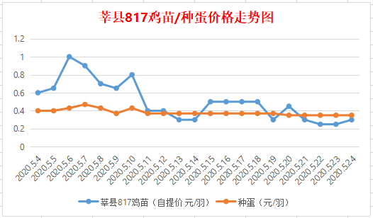 今日817鸡苗价格走势分析