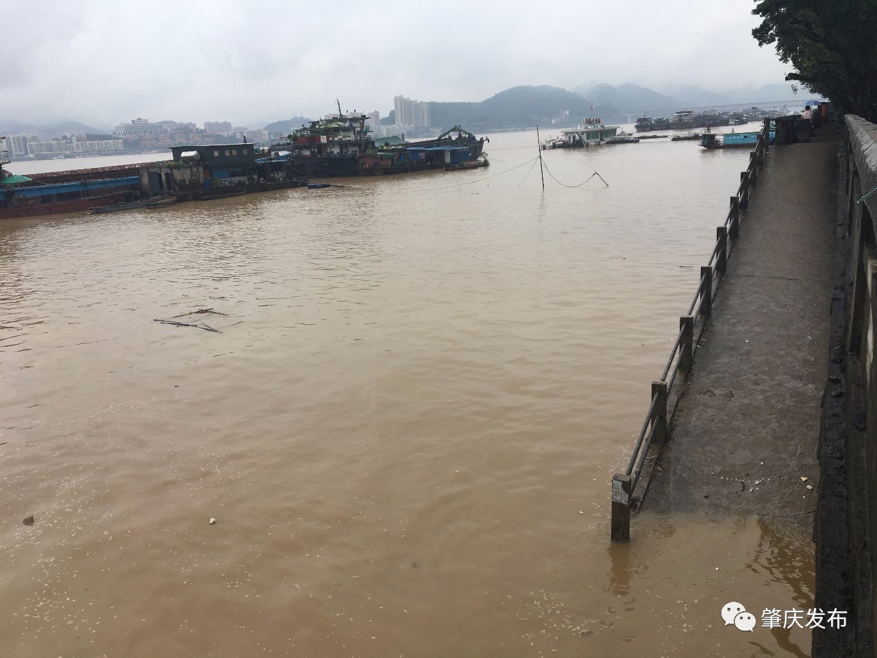 肇庆洪水最新动态，城市齐心抗洪，民众共克时艰