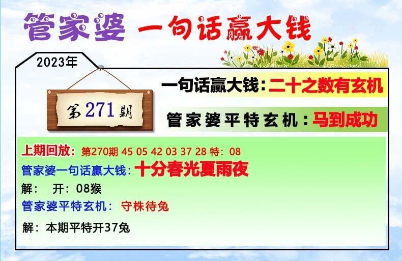 2024年11月13日 第45页