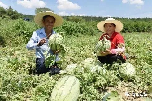 含山天气预报与生活指南更新发布