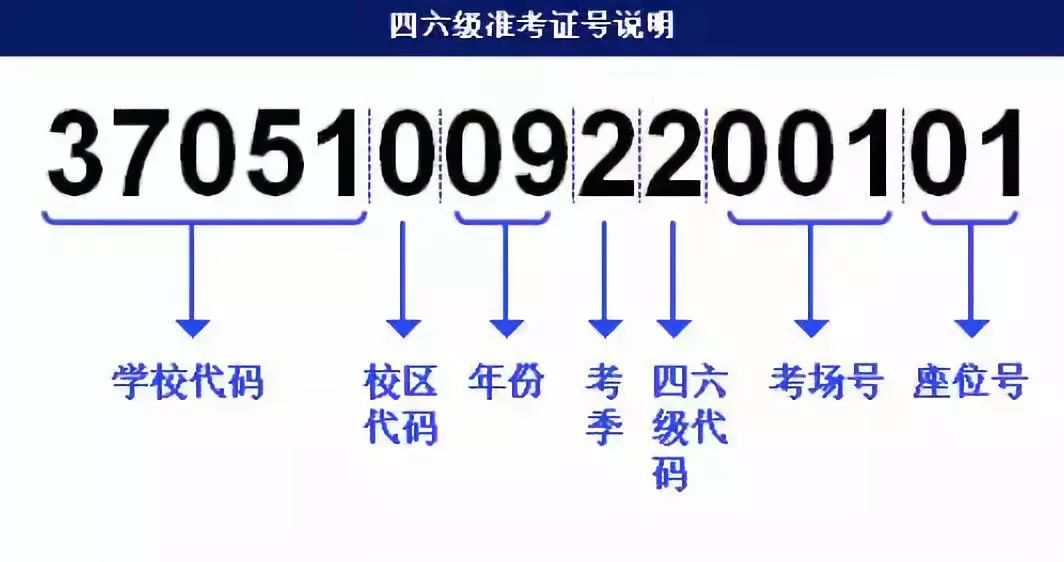 2024年11月15日 第45页