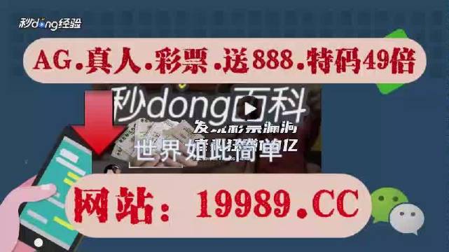 2024今晚澳门开奖结果,深入分析解释定义_S47.11