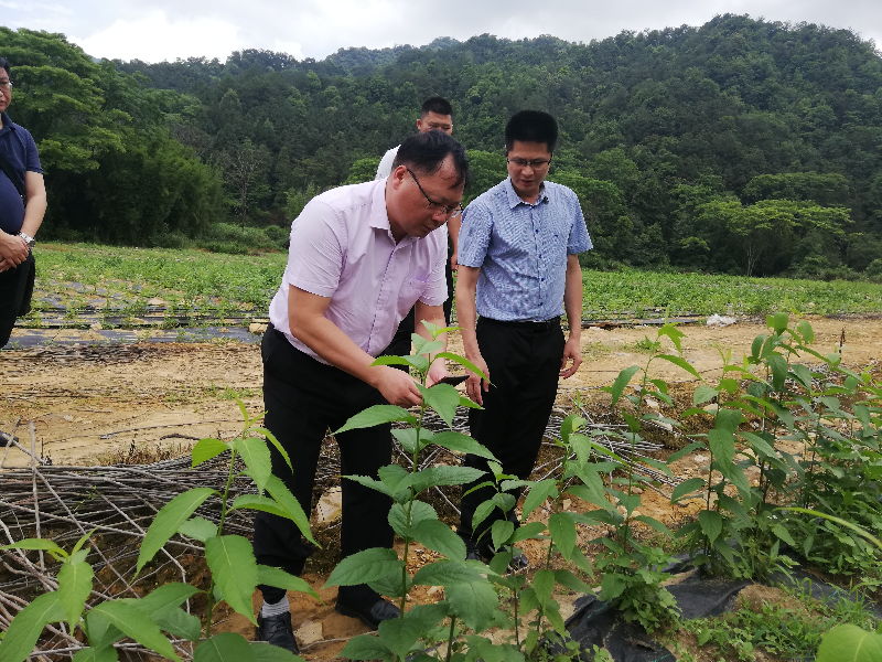 江苏伯克生物引领行业创新，推动可持续发展最新动态