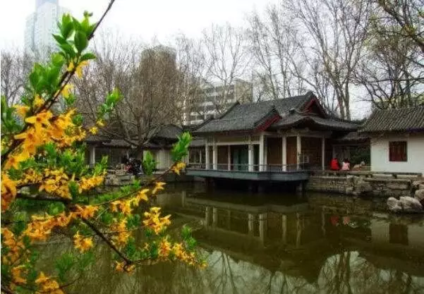 济南中山公园扩建进展，重塑城市绿肺，提升市民生活品质新动态揭秘