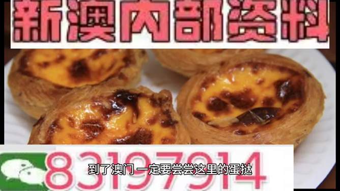 新澳门资料大全正版资料2024年免费下载,家野中特,动态评估说明_set97.454