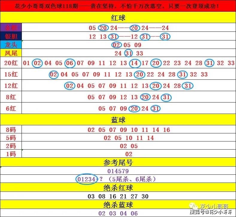 2024年香港资料免费大全,可靠解析评估_set29.278