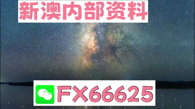 2024新澳天天彩免费资料,数据驱动执行方案_精简版105.220