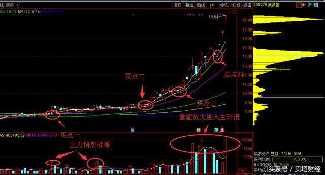 澳门马今天开什么特马,最佳精选解释落实_R版66.524