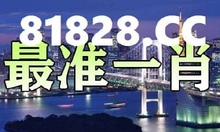 一肖一码一一肖一子深圳,现状解读说明_顶级款80.330