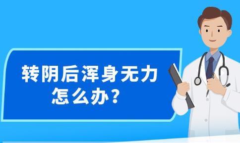 新澳精准资料大全免费更新,数据整合执行方案_Essential88.916