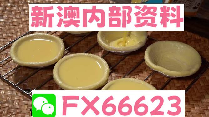 新澳精准资料免费提供510期,动态词语解释落实_T30.345