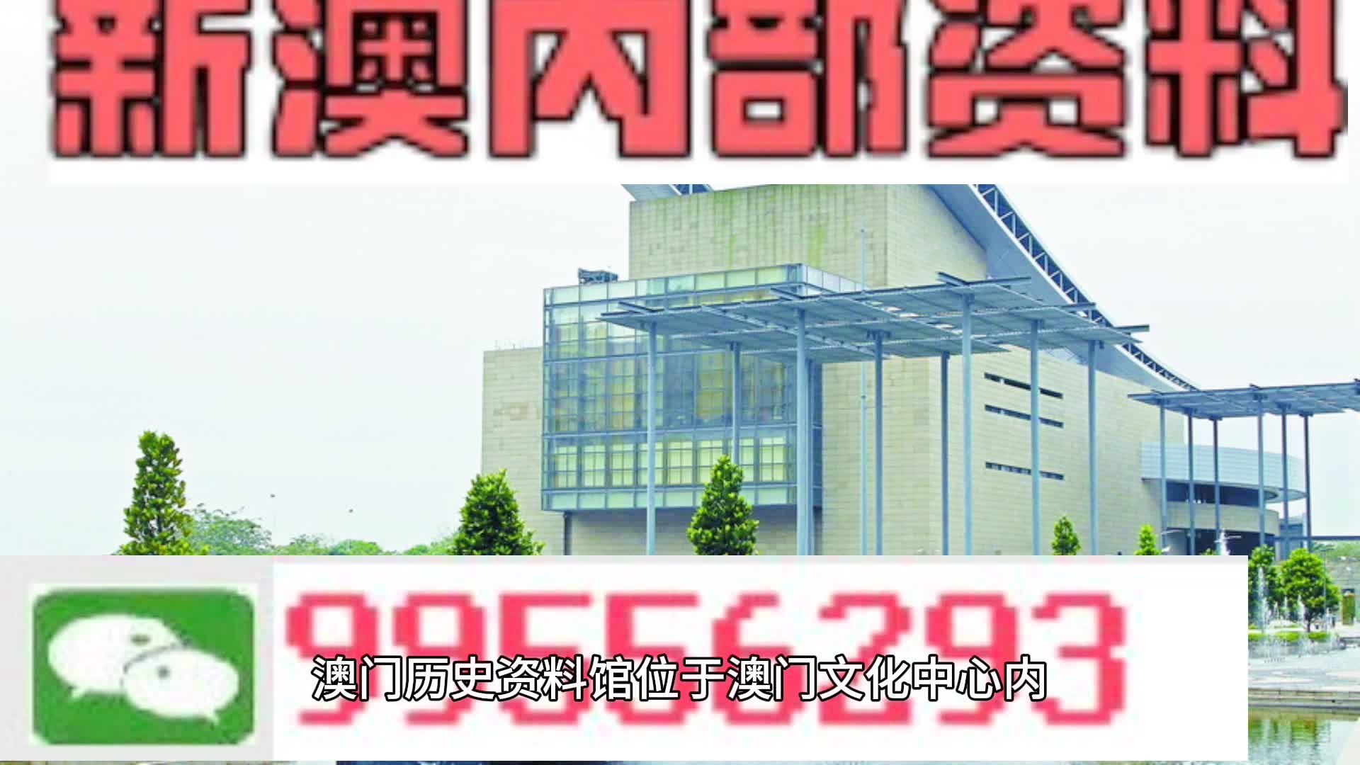 2024年新澳门天天开好彩,迅捷解答计划落实_专属版33.213