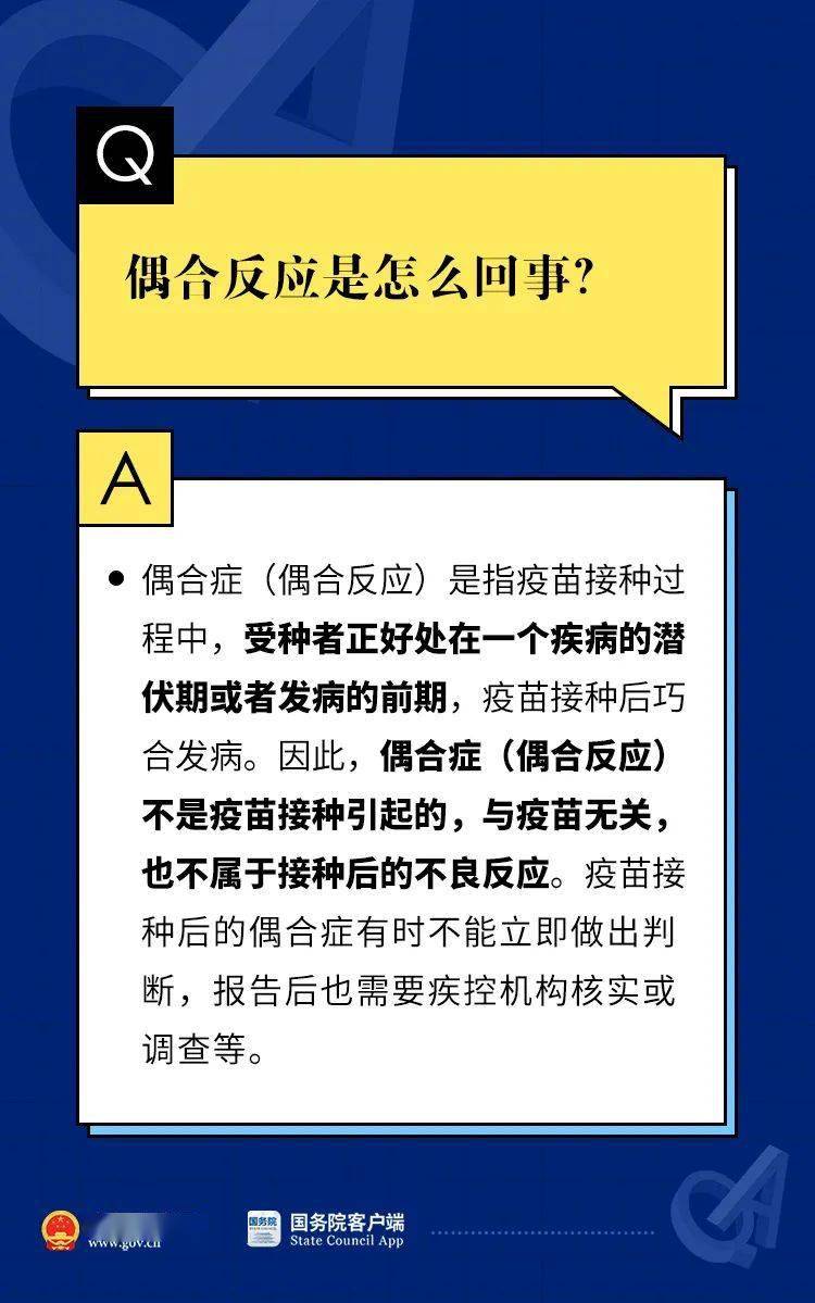 2004新澳门天天开好彩大全正版,权威说明解析_X21.882