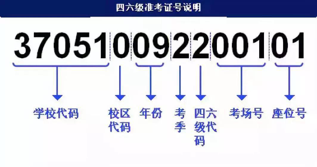 澳门三肖三码三期凤凰,最新解答方案_6DM71.507