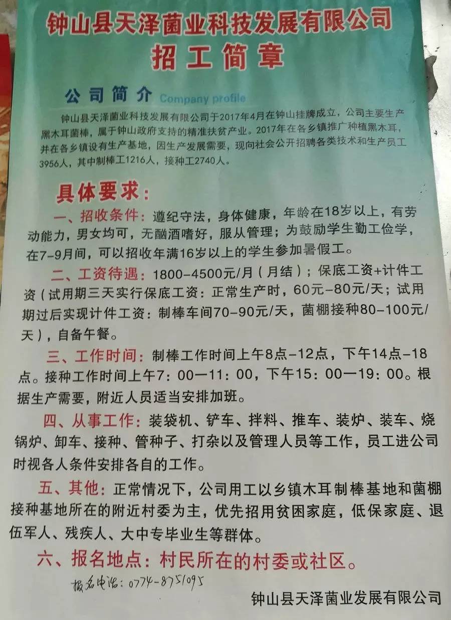 夏吉村最新招聘信息全面解析