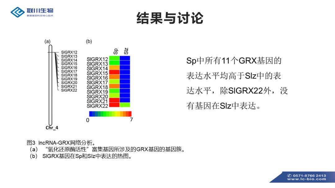 香港资料,调整细节执行方案_iShop65.568