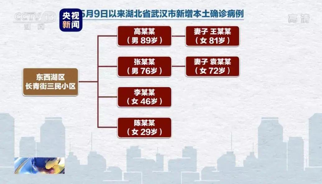 2024年11月新冠高峰,数据整合策略解析_旗舰版58.324