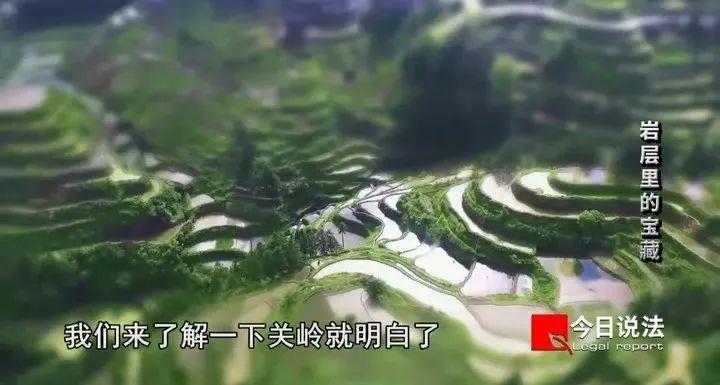 黔南布依族苗族自治州市环保局新项目推动绿色生态发展，美丽黔南新篇章启程