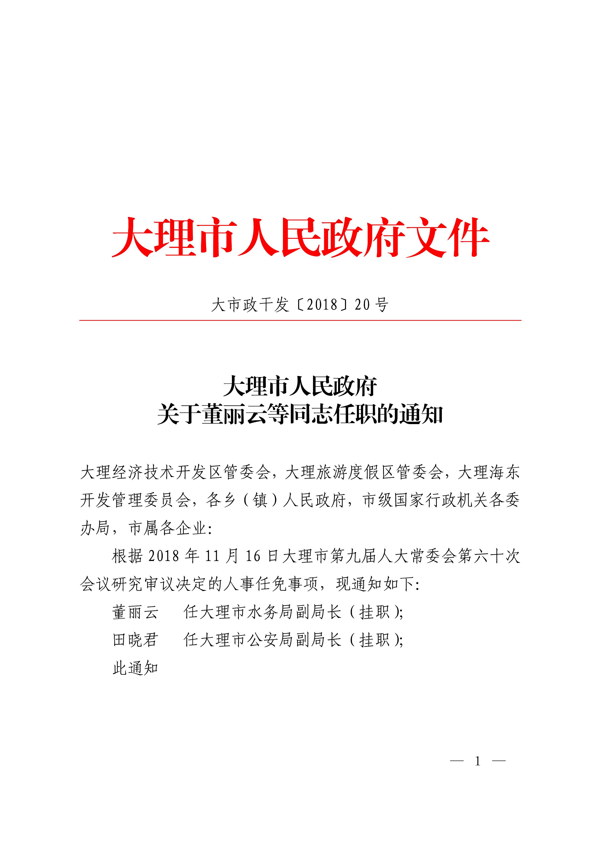 大理白族自治州市行政审批办公室人事任命，推动行政效率提升与改革深化进程