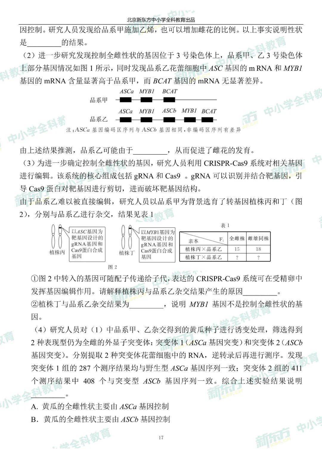 澳门一码一肖一特一中是公开的吗,实践解答解释定义_C版114.677