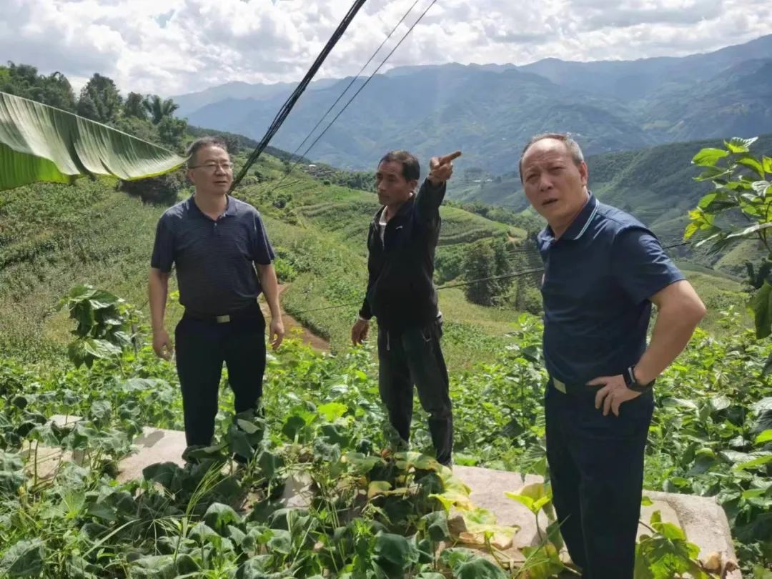 扎果茶旺村新领导引领下的村庄新面貌