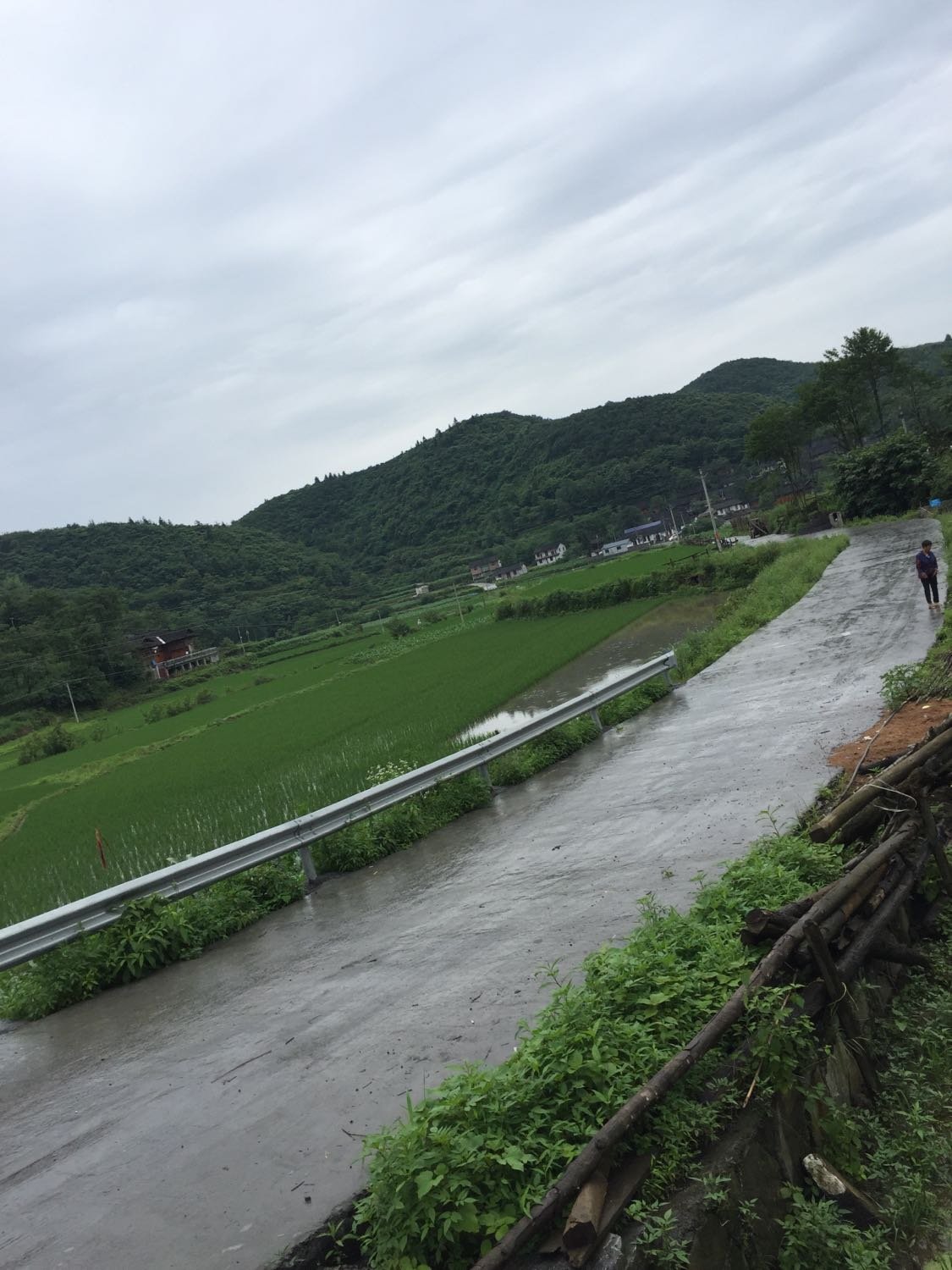 路山村民委员会天气预报更新通知