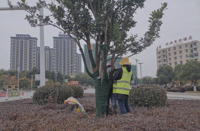 大悟县应急管理局最新招聘信息详解