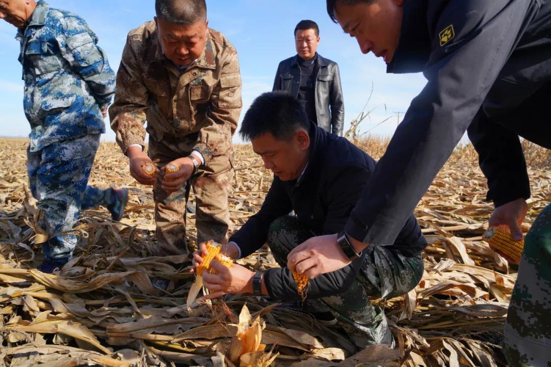 后头乡领导最新概览