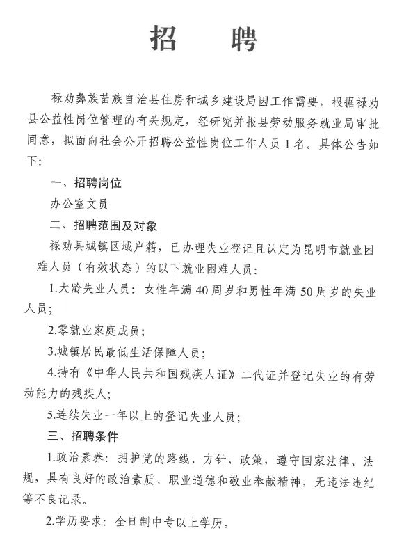 金刚村民委员会招聘公告发布