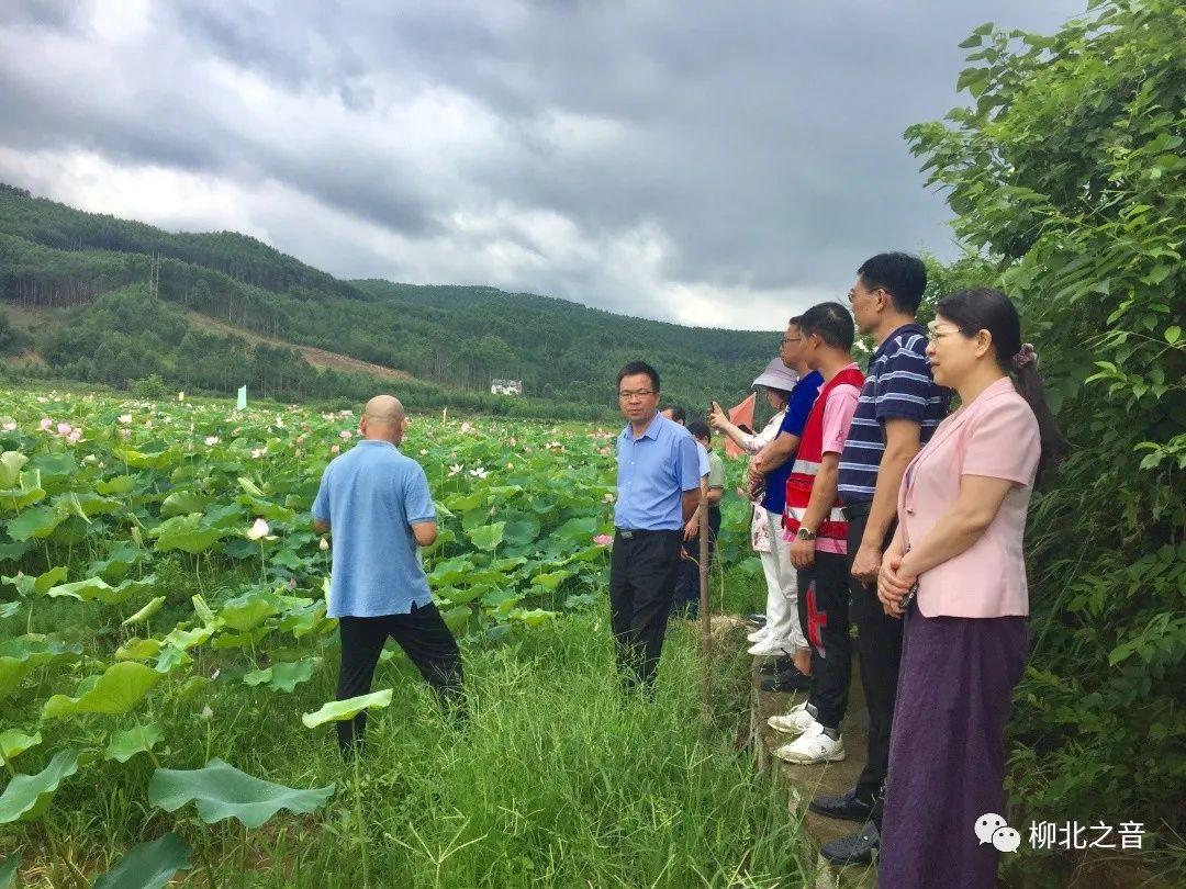 资源县农业农村局最新发展规划概览