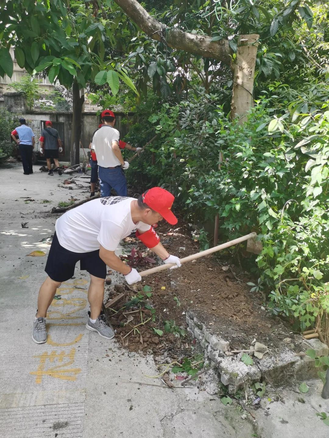 南门街道最新发展规划概览